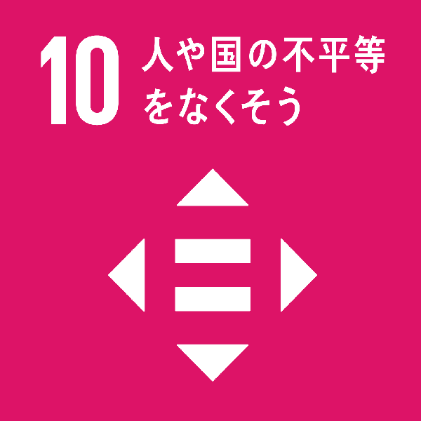 国内および国家間の不平等を是正する