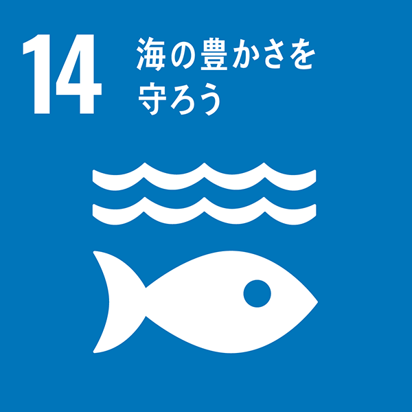 海洋と海洋資源を保全し、持続可能な形で利用する